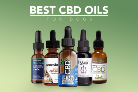 Best CBD Oil for Dogs: Top 5 Brands & Buyer’s Guide