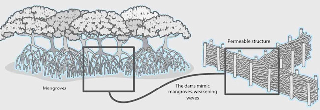 MangroveDam