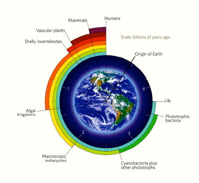 life%20scale%20400.jpg