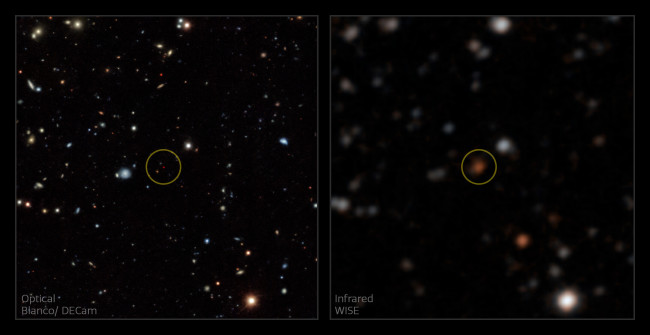 Brown dwarfs hover right at the edge of visibility. A group of citizen scientists brought this one into view by zeroing in on its infrared signature. (Credit: A. Meisner/NOIRLab/NSF/AURA)