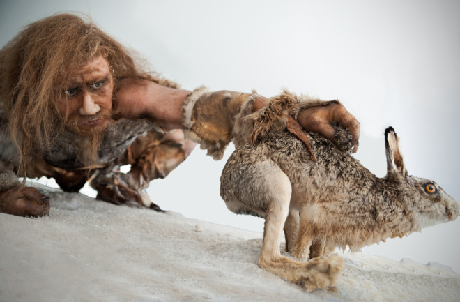 Neanderthal Behavior Traits