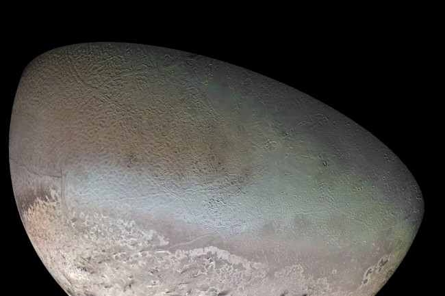 Triton