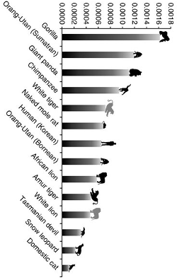 mammal.png