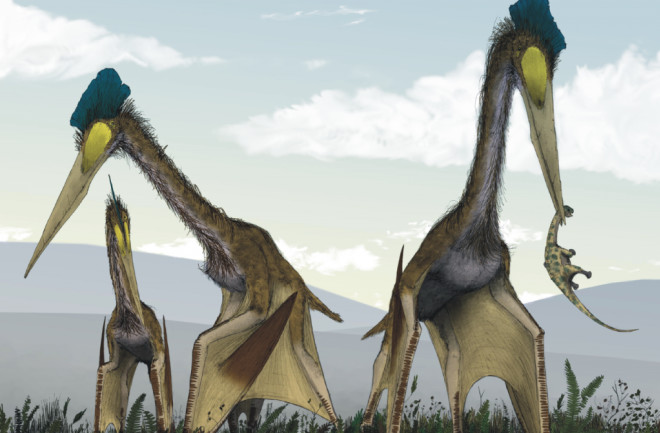 Life_restoration_of_a_group_of_giant_azhdarchids_Quetzalcoatlus_northropi_foraging_on_a_Cretaceous_fern_prairie-1024x778.png