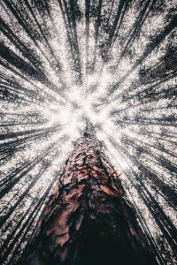 (Credit: Bryan Minear/Unsplash)