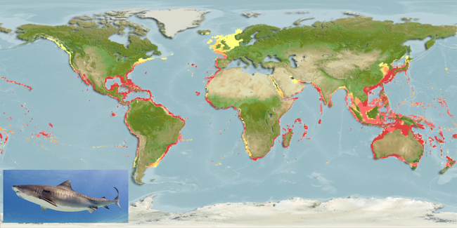 What It Takes To Rule The (Marine) World | Discover Magazine