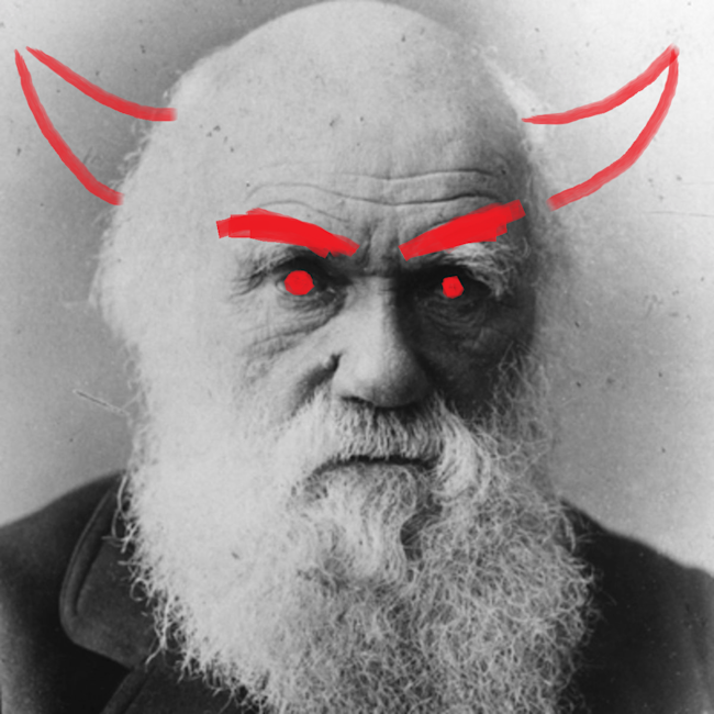 Darwin theory of evolution pdf image