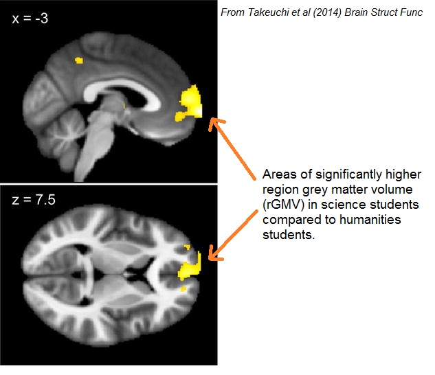 science_brain.jpg