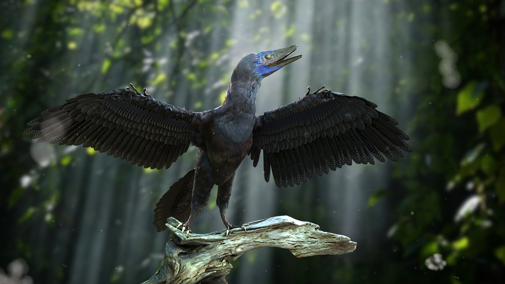 What Makes Archaeopteryx Fossils the Bizarre Bridge Between Dinos