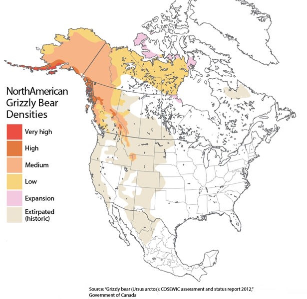 Grizzly Bear Range Map - Discover