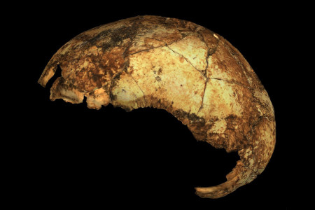Our Ancestor Homo Erectus Is 200,000 Years Older Than Previously Thought 