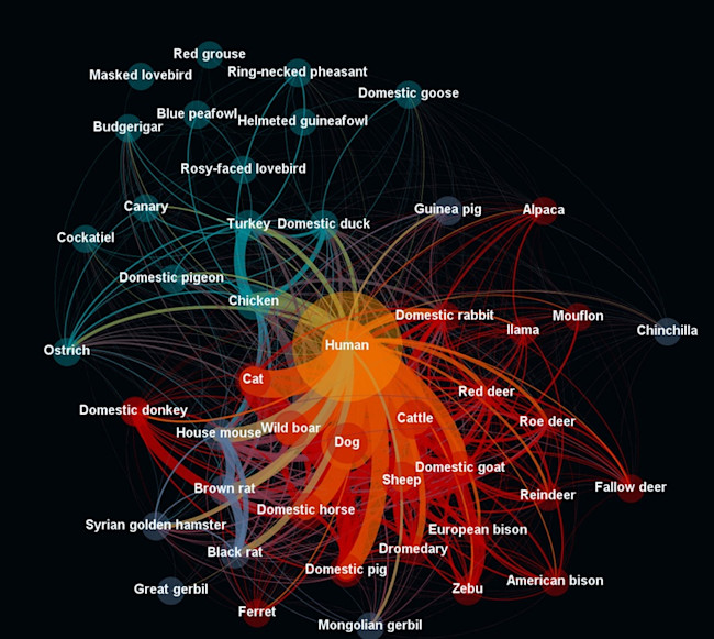 Pathogen Host Animal Relations Infograph - Maya Wardeh, EID2