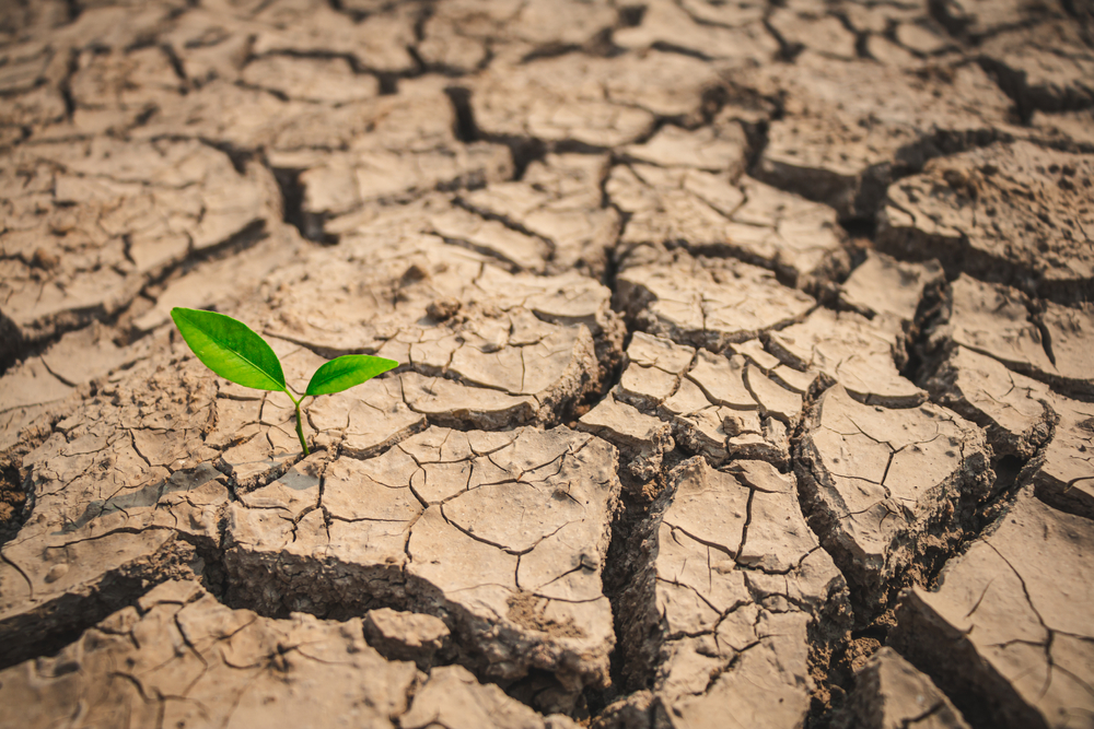 What Are Flash Droughts? - DISCOVER Magazine