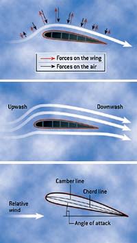 The Physics of . . . Airplanes | Discover Magazine