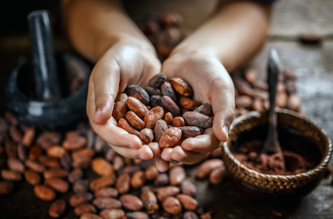 Aromatic cacao beans