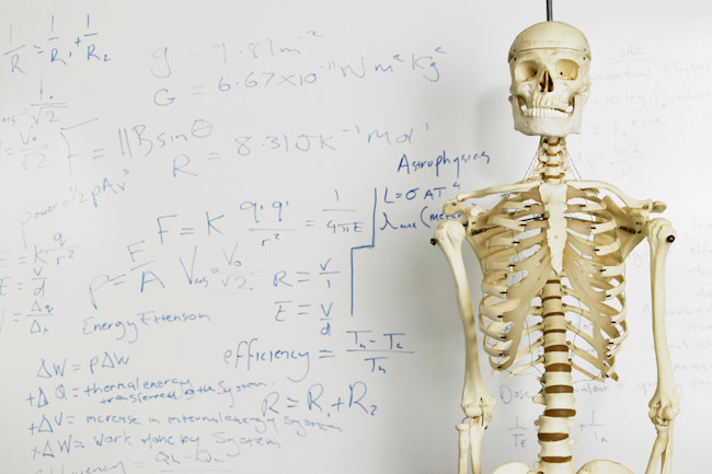 Darwin S Rib Discover Magazine