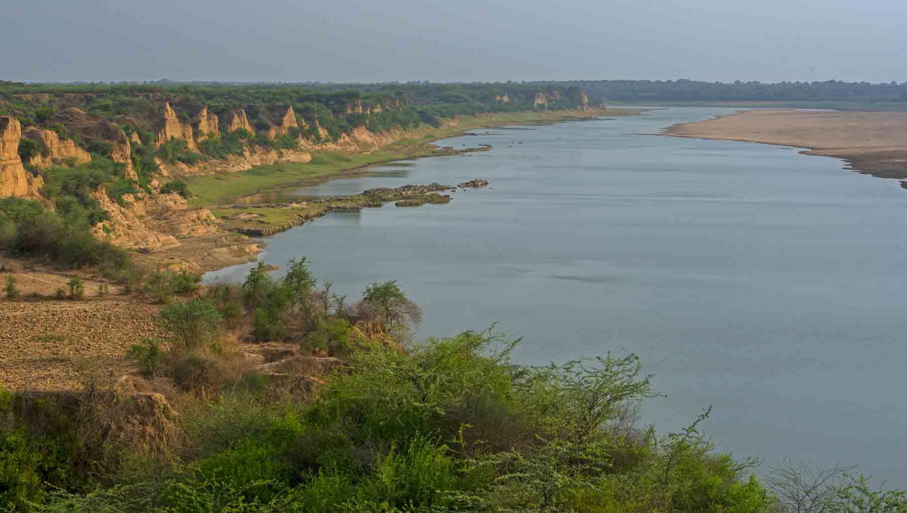Surrounded by box canyons and dry scrub, India's Chambal River provides critical habitat for a wide variety of wildlife, including several endangered species. (Credit: Dhritiman Mukherjee)