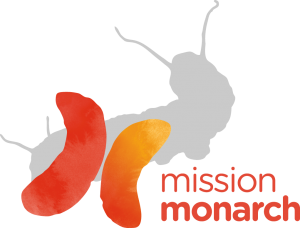 logo_mm_ang_couleur-300x228.png