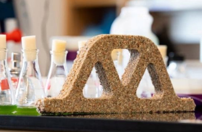 Architectural form made from sand and bacteria