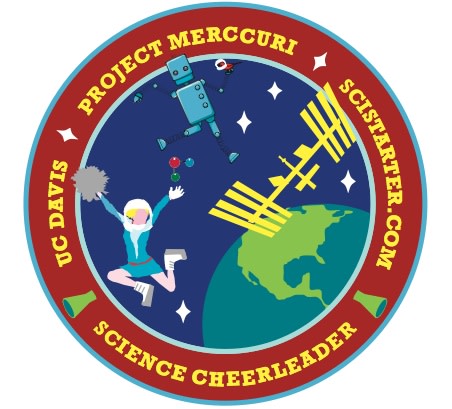 project-merccuri-patch.jpeg