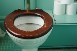 NCBI ROFL: When you're allergic to your toilet seat. | Discover Magazine