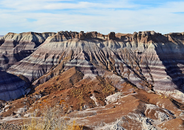 Beneath Arizona's Desert Lie Secrets of the Triassic | Discover Magazine