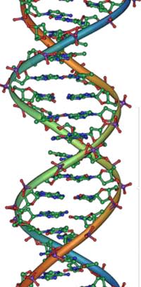DNA.jpg