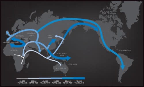 national geographic dna map Finding Our Origins The Genographic Project Uses Genetics To Map national geographic dna map