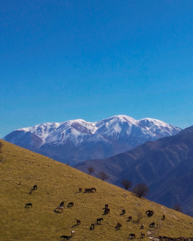 mountains