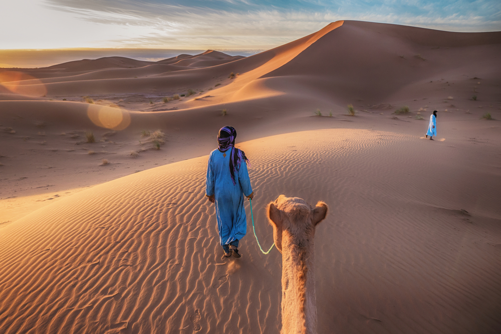 Le désert du Sahara : tout savoir sur le plus grand désert du monde