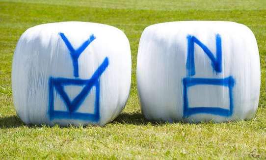 haybale.jpg
