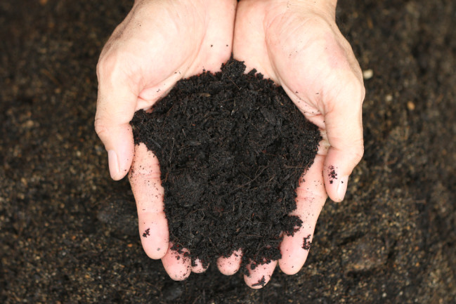 soil