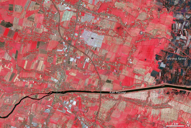 Sidorajo, 2004, false color pre eruption
