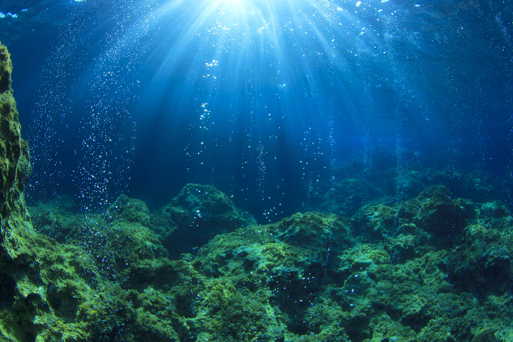 Underwater Volcano Megaplumes May Carry Hardy Creatures Across The   Shutterstock 216278062 