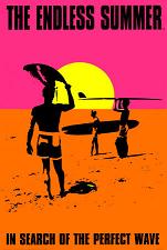 The-Endless-Summer-Poster-C10290836.jpeg