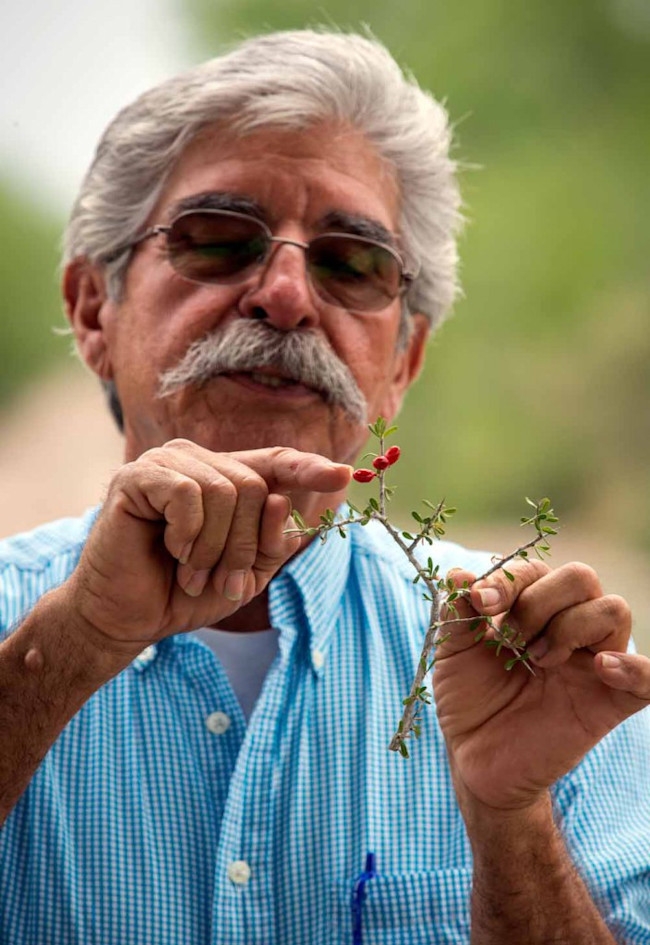 james roper naturalist plant texas border