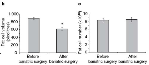 Surgery.jpg