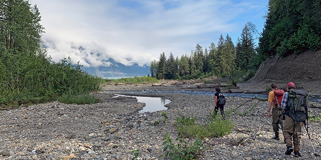 As Glaciers Retreat, New Streams for Salmon