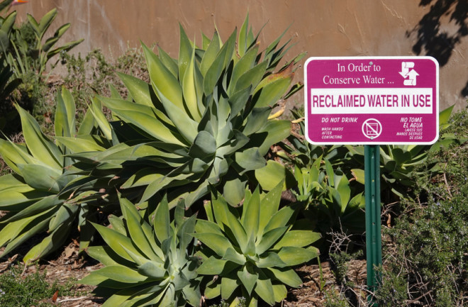 A sign in drought-tolerant landscaping stating that reclaimed water is used for irrigation
