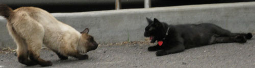 7outoffocus_sosad.jpg