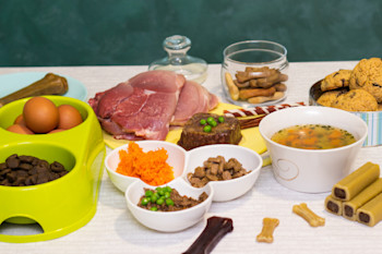 Top raw sales food for dogs