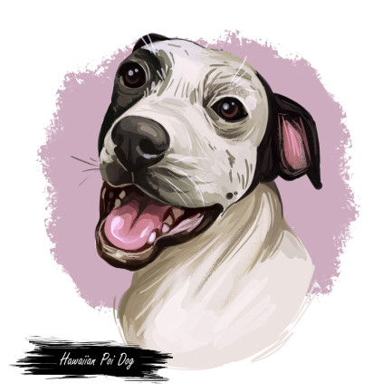 Hawaiian Poi Dog extinct breed of pariah dog from Hawai. Hand drawn digital art dog portrait.