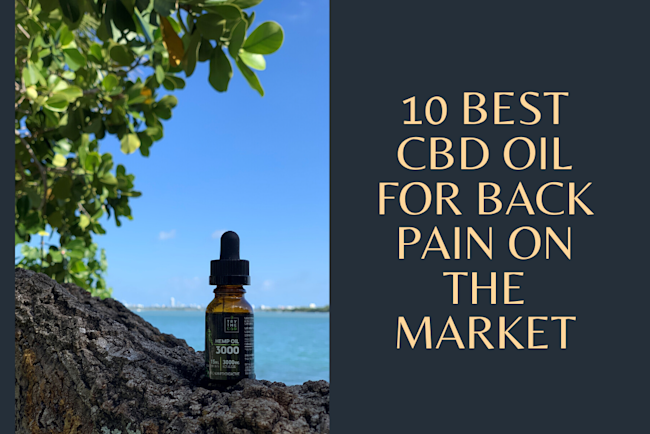 10 Best CBD Oil for back pain on the market