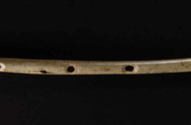bird bone flute