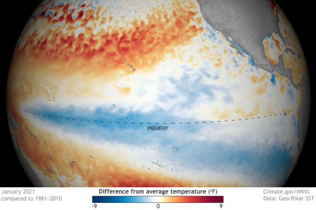 January 2021 Sea Surface Temperature Anomalies
