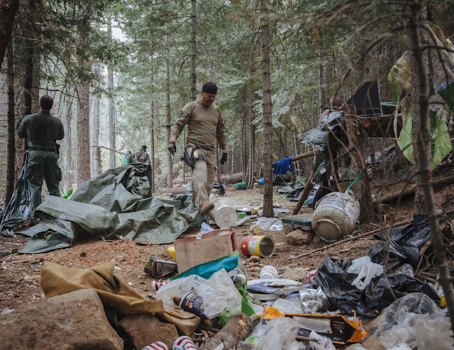 growers campsite