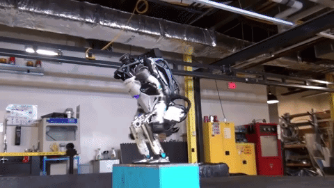 giphy-5.gif