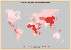 liver-worldwide-women-300x213.jpg