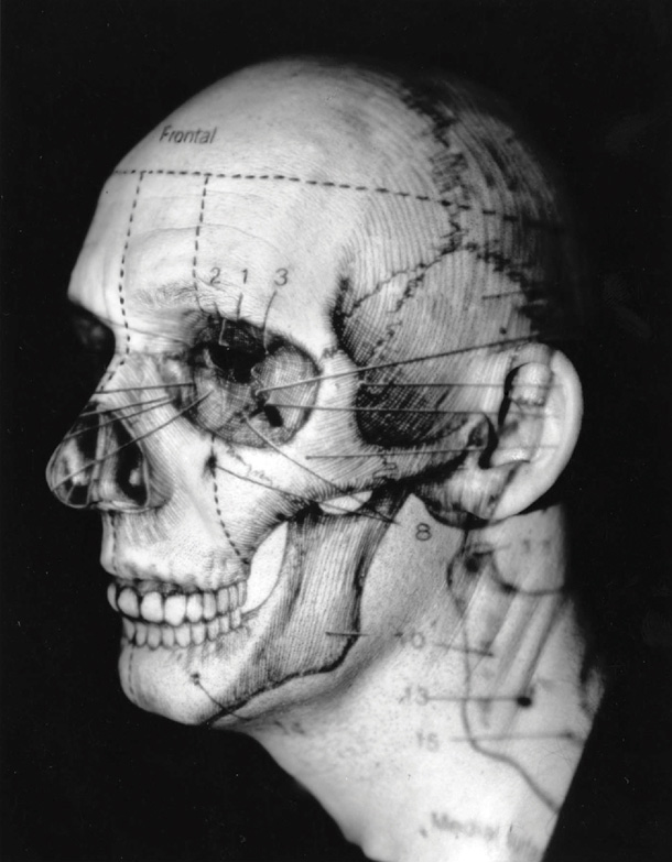 DuTiel4.jpg