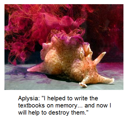 aplysia.png